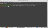 instalacion-Linux-Mint-netbook-exo-img61