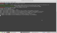 instalacion-Linux-Mint-netbook-exo-img62