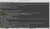 instalacion-mysql-terminal-img01