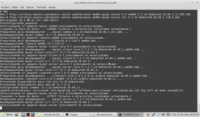 instalacion-mysql-terminal-img06
